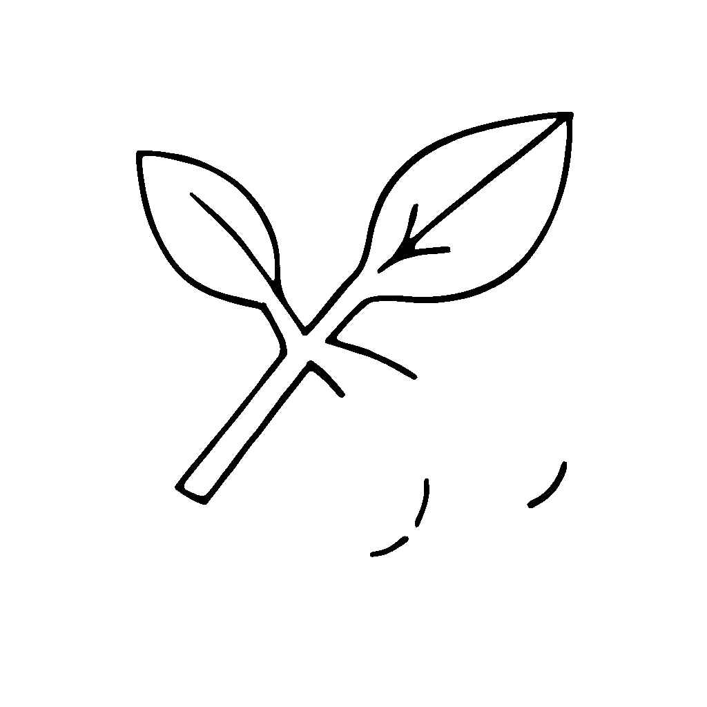 Coffee World Coffee Cherry