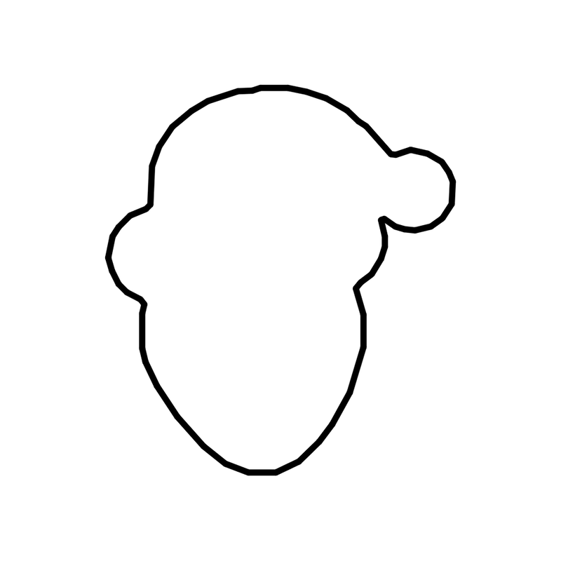 Rostro de Santa estilo 2